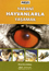 Yabani Hayvanlarla Yaşamak